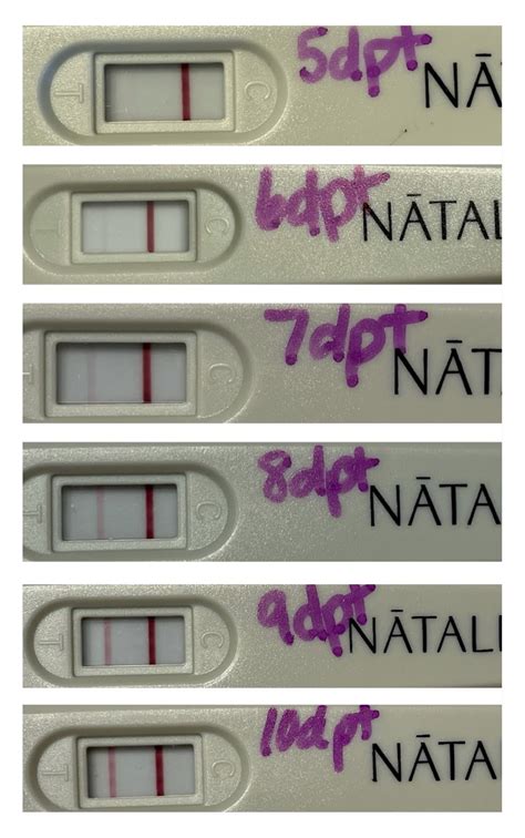 Sometimes your embryos age is more than 3 days, so its important to subtract the. . Positive pregnancy test after fet